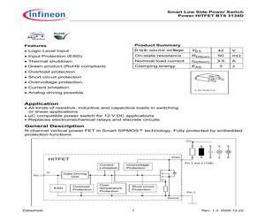 BTS3134DATMA1.pdf