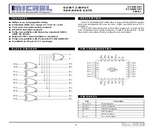 SY10/100E107.pdf