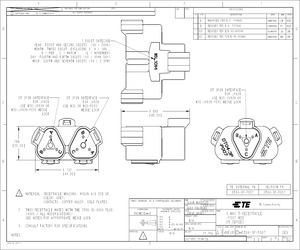 DT04-3P-P007.pdf