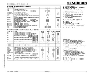 SKHI22A.pdf