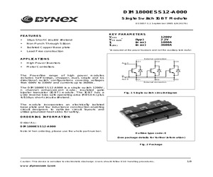 DIM1800ESS12-A000.pdf