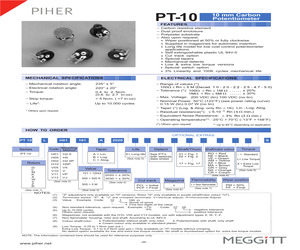 PT10LV10105A2020.pdf