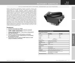 R2AD456NA111.pdf