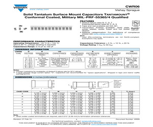 CWR06FB156JSB/FA.pdf