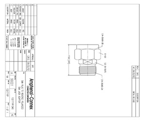 132171RP.pdf