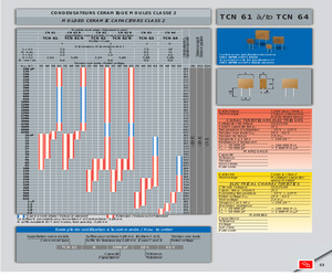 TCN62N2200PF20%63V.pdf