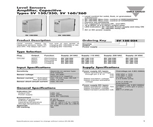 SV250724.pdf