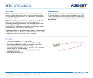 AX99100 LOCAL BUS DEMO BOARD.pdf