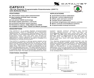 CAT5111S-00TE13.pdf