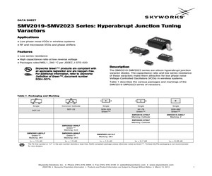 SMV2020-079LF.pdf