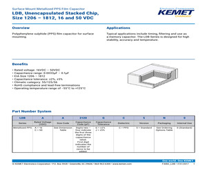 G80-00005/100PACK FOR B & O ONLY.pdf