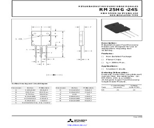 RM25HG-12S.pdf