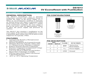 DS1813-10+T&R.pdf