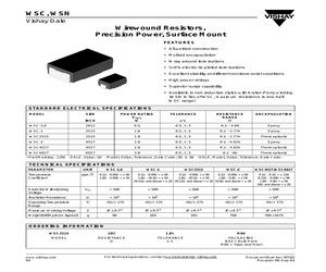 WSC-11.02KOHM1.0%B43.pdf