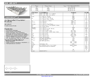 SK45UT08.pdf