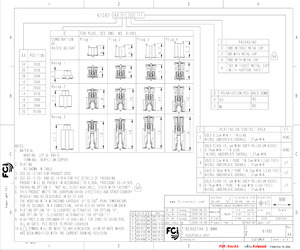 61082-101606LF.pdf