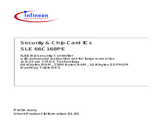 SLE66C168PEM5.pdf