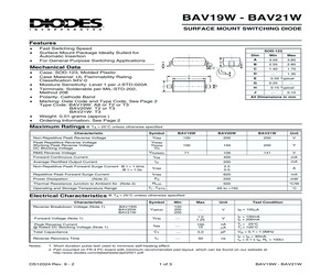 BAV21W.pdf