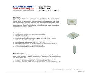 NPB-WSG-Y2Z-1.pdf