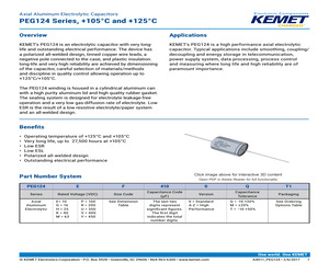 PEG124RB2100QL1.pdf