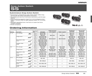 SS-01-FT.pdf