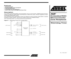 WATCHDOG TIMER.pdf