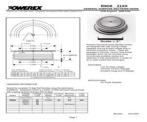 R9G02021XX00.pdf