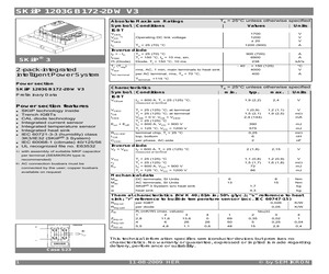 SKIIP1203GB172-2DW.pdf