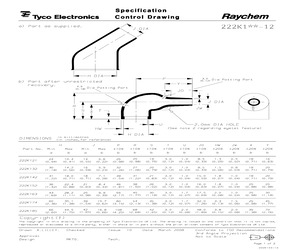 222K121-12-0.pdf