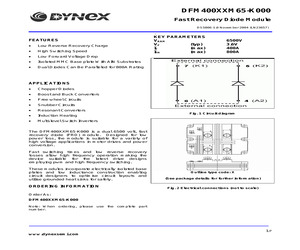 DFM400XXM65-K.pdf