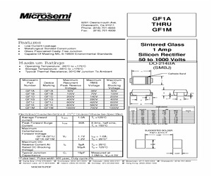 GF1J.pdf