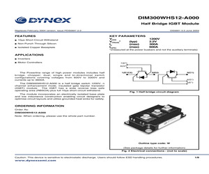 DIM300WHS12-A000.pdf