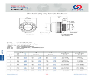 AE83395R2025N.pdf