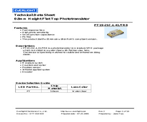 PT19-21C/L41/TR8.pdf