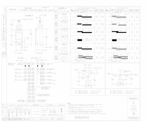 GSAC20C-6C02.pdf