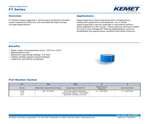 FYH0H105ZF.pdf