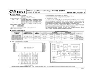 BS616UV2019AIP85.pdf