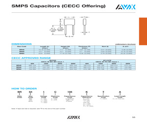 BR841C126MTA.pdf