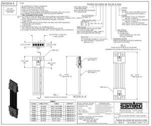 PMSST-02-24-SP-17.00-S.pdf