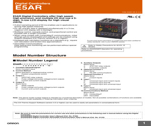 E5AR-PR4DF AC/DC24.pdf