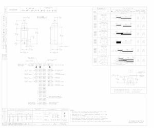 GSAC40B-Q01.pdf