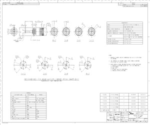 MRJ11204 (1825535-1).pdf