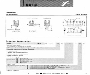 8613-010-20-23-345.pdf