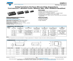 CWR11FH105KBB/PT.pdf