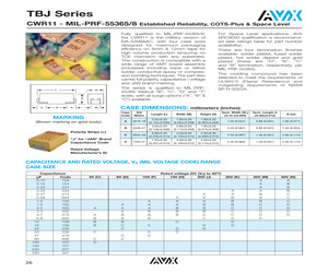 CWR11FH105KBBBULK.pdf