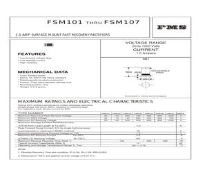 FSM101.pdf