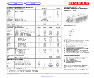 SKM111AR.pdf